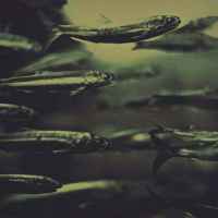 c a r b 1 d 67ab31440359d