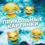 prikolnye kartinki video 67ab31a69b8d0