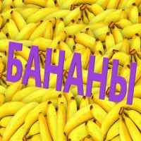 banany 67e2a367975e7