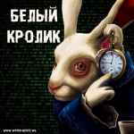 belyj krolik 67dedd6ecbe77