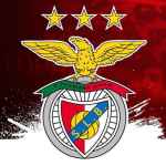 benfikabenfica 67de9f30b5af3