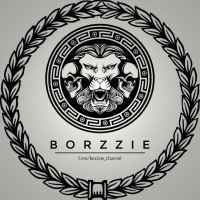 borzye 67de736ee62a9