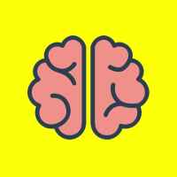 brainfeed 67dd94a743152