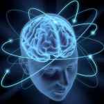 cerebro 67dd9d2e6354f