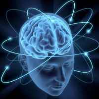 cerebro 67dd9d2e6354f