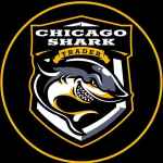 chicago shark 67e3af33304ab