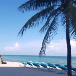 cruise insider 67dd2bf96ed6b