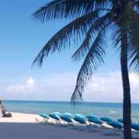 cruise insider 67dd2bf96ed6b