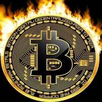 crypto gold l kriptovalyuta l criptoinvestclub l investiczii 67de7dd2eb302