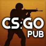 csgo pub 67dd510088383