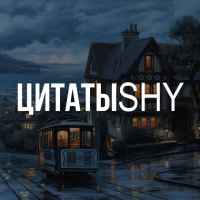 czitaty shy 67ded12dc10be