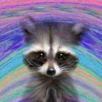 digital raccoon 67ded013aa923