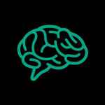 dr brain 67dedd4fe3e03