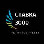 e29abdefb88fstavka 3000 67dea51a77a90