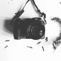 f09f92bedepozitarij hd oboevf09f92be 67dec14151a04