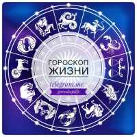 f09f94aegoroskop zhizni 67e12b93ee062