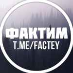 faktim 67dd966254333