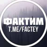 faktim 67dd966254333