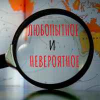 fakty lyubopytnoe i neveroyatnoe 67dd98c91f2ec