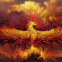 feniks 67ddbfc5344ce