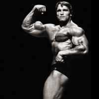 fitness gym 67de99eea3a91