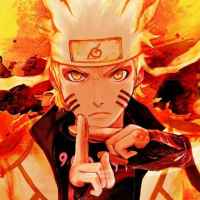 hokage f09fa68a 67e1290c84f45