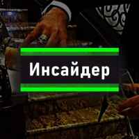 insajder 67e3a7b807115