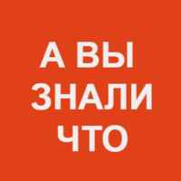 interesnye fakty f09f92a1 67dd9ca6e6e21