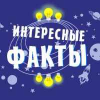 interesnye faktyf09f8c8f 67dd9ccc74b45