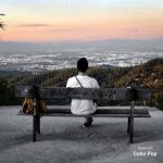 just human live blog 67dd3b845dc55