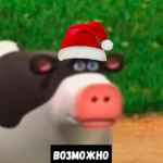 konchennye pikchi na kazhdyj den stayhome 67e2a5d308bdc