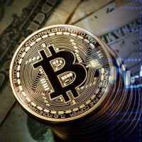 kupil 1 btc 67e3e121d9071