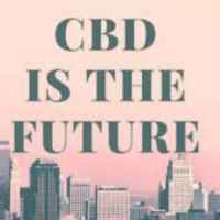 medtrava 67dd9dd5cc3cd