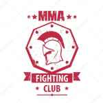 mma fighting experience 67de9b3630698