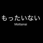 mottanai e38282e381a3e3819fe38184e381aae38184 67dd9be0e15ab