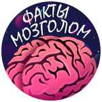 mozgolom fakty 67dd94ca080ee