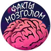 mozgolom fakty 67dd94ca080ee