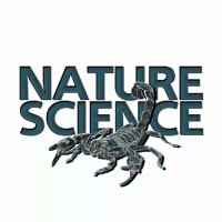nature science priroda nauka zhivotnye animals earth planeta okean 67dd943e615f9