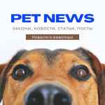 pet news 67e13213b90c1