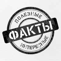 pif poleznye interesnye fakty 67dd9e2bbcf8e