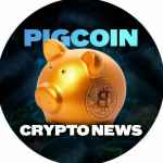 pigcoin news 67e3e24b34883