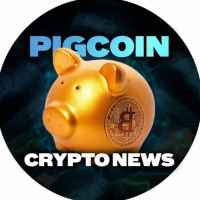 pigcoin news 67e3e24b34883