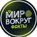 plyuha 67dd9ddb8184c