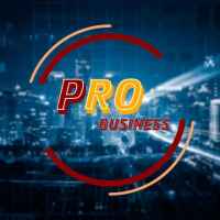 pro businessf09f8fa6 67e3b155eaaf9