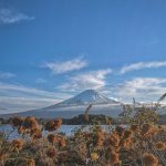 random japan 67dd2a0e0bd9a