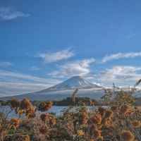 random japan 67dd2a0e0bd9a