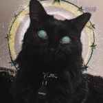 saint meow 67e12aa523741
