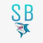 sbet 67de9e2278c4d