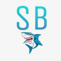 sbet 67de9e2278c4d