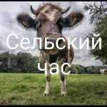 selskij chas 67e3b7a024a7b